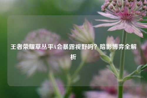 王者荣耀草丛平A会暴露视野吗？暗影博弈全解析