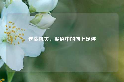 逆战机关，泥沼中的向上足迹