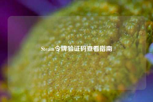Steam令牌验证码查看指南