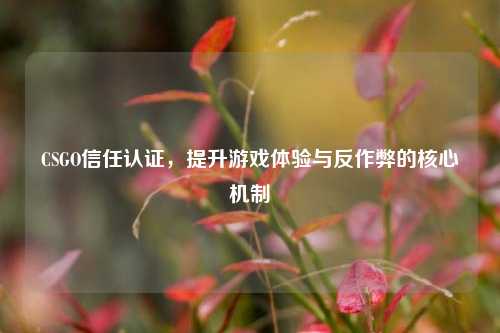 CSGO信任认证，提升游戏体验与反作弊的核心机制