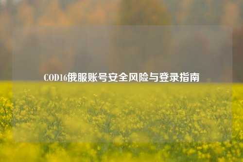COD16俄服账号安全风险与登录指南