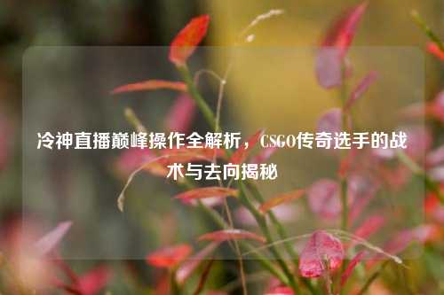 冷神直播巅峰操作全解析，CSGO传奇选手的战术与去向揭秘