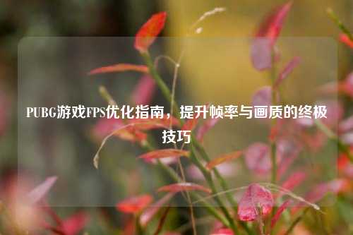 PUBG游戏FPS优化指南，提升帧率与画质的终极技巧
