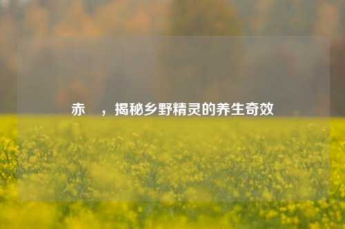赤瓟，揭秘乡野精灵的养生奇效