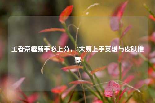 王者荣耀新手必上分，5大易上手英雄与皮肤推荐