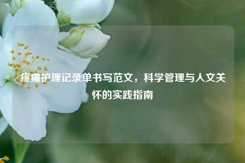 疼痛护理记录单书写范文，科学管理与人文关怀的实践指南