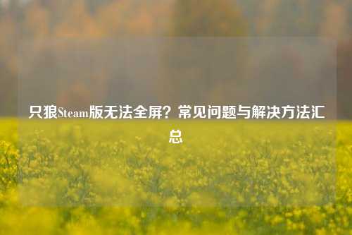 只狼Steam版无法全屏？常见问题与解决 *** 汇总
