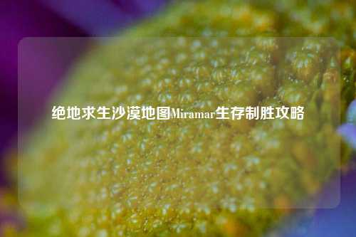 绝地求生沙漠地图Miramar生存制胜攻略