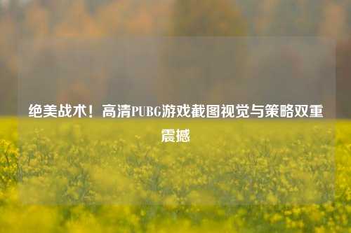 绝美战术！高清PUBG游戏截图视觉与策略双重震撼