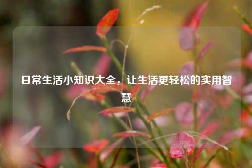 日常生活小知识大全，让生活更轻松的实用智慧