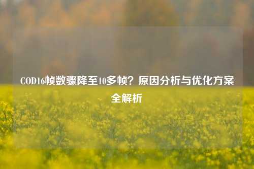 COD16帧数骤降至10多帧？原因分析与优化方案全解析