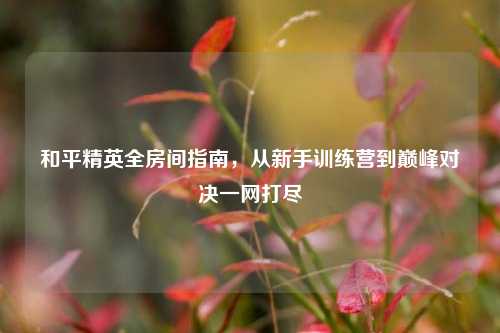 和平精英全房间指南，从新手训练营到巅峰对决一网打尽