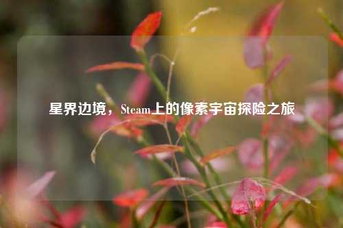 星界边境，Steam上的像素宇宙探险之旅