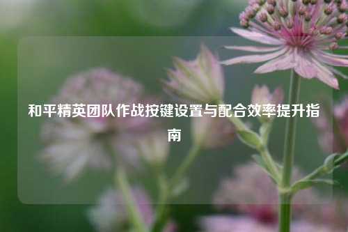 和平精英团队作战按键设置与配合效率提升指南