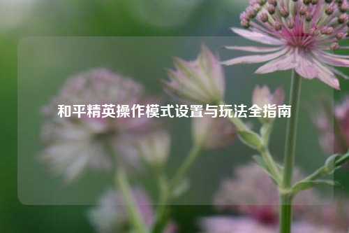 和平精英操作模式设置与玩法全指南