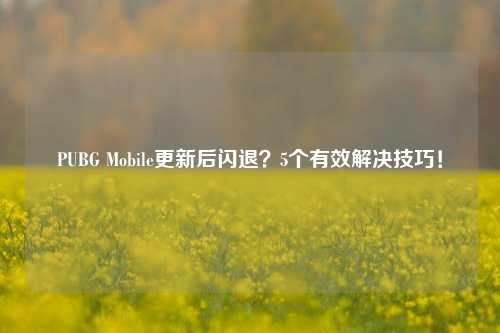 PUBG Mobile更新后闪退？5个有效解决技巧！