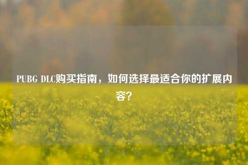 PUBG DLC购买指南，如何选择最适合你的扩展内容？