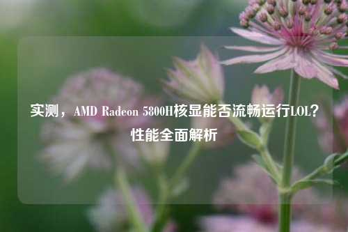 实测，AMD Radeon 5800H核显能否流畅运行LOL？性能全面解析