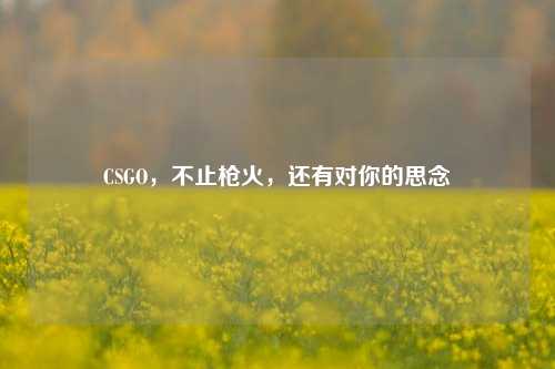 CSGO，不止枪火，还有对你的思念