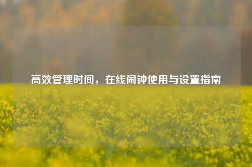 高效管理时间，在线闹钟使用与设置指南