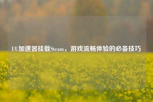 UU加速器挂载Steam，游戏流畅体验的必备技巧