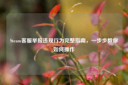 Steam *** 举报违规行为完整指南，一步步教你如何操作