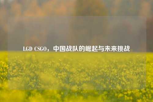 LGD CSGO，中国战队的崛起与未来挑战