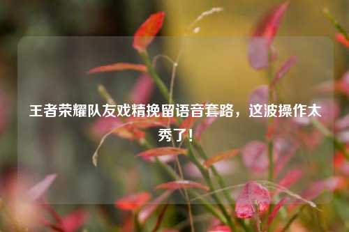王者荣耀队友戏精挽留语音套路，这波操作太秀了！