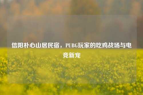 信阳朴心山居民宿，PUBG玩家的吃鸡战场与电竞新宠