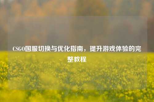 CSGO国服切换与优化指南，提升游戏体验的完整教程