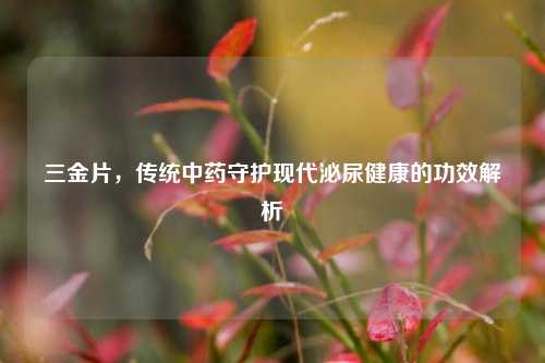 三金片，传统中药守护现代泌尿健康的功效解析