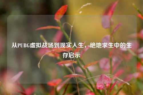 从PUBG虚拟战场到现实人生，绝地求生中的生存启示