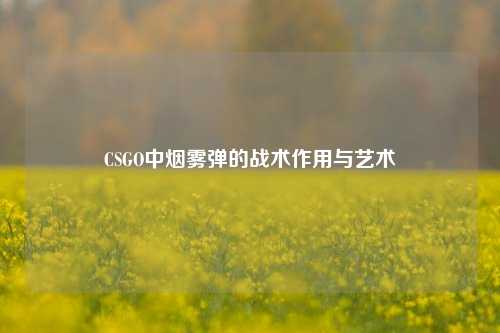 CSGO中烟雾弹的战术作用与艺术