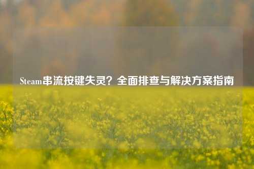 Steam串流按键失灵？全面排查与解决方案指南