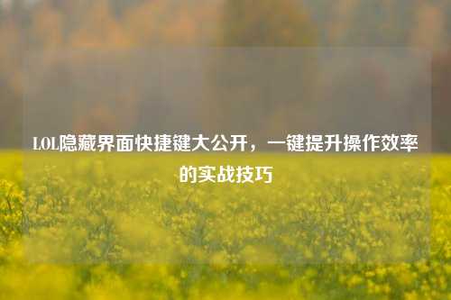 LOL隐藏界面快捷键大公开，一键提升操作效率的实战技巧