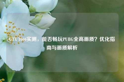 GTX 1060实测，能否畅玩PUBG全高画质？优化指南与画质解析