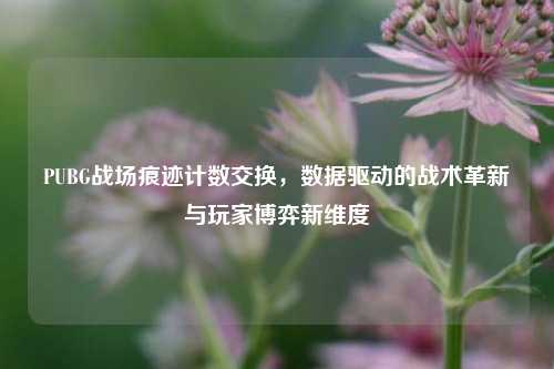 PUBG战场痕迹计数交换，数据驱动的战术革新与玩家博弈新维度