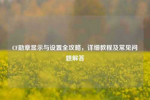 CF勋章显示与设置全攻略，详细教程及常见问题解答