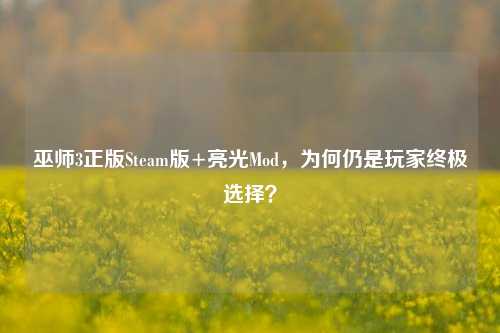 巫师3正版Steam版+亮光Mod，为何仍是玩家终极选择？
