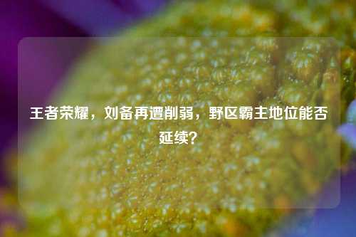 王者荣耀，刘备再遭削弱，野区霸主地位能否延续？