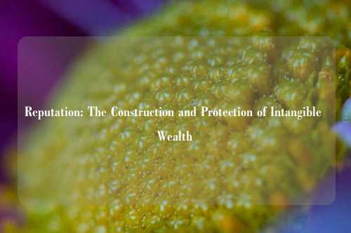 Reputation: The Construction and Protection of Intangible Wealth