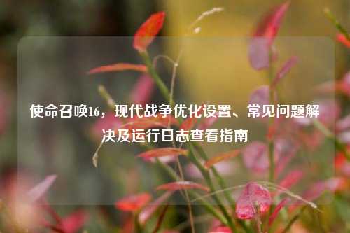 使命召唤16，现代战争优化设置、常见问题解决及运行日志查看指南