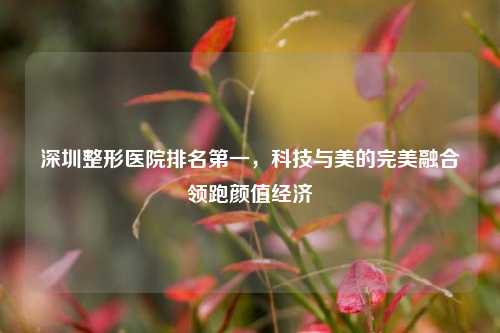 深圳整形医院排名之一，科技与美的完美融合领跑颜值经济