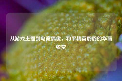 从游戏主播到电竞偶像，和平精英璐璐的华丽蜕变
