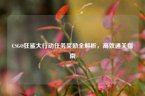 CSGO狂鲨大行动任务奖励全解析，高效通关指南