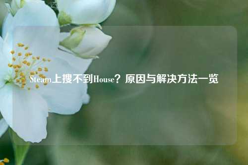 Steam上搜不到House？原因与解决 *** 一览