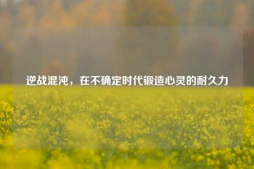 逆战混沌，在不确定时代锻造心灵的耐久力