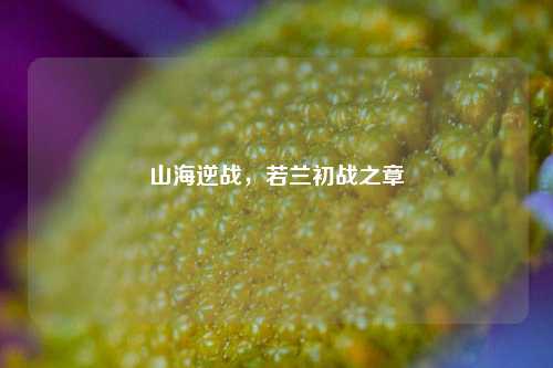 山海逆战，若兰初战之章