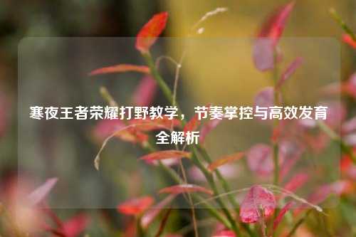 寒夜王者荣耀打野教学，节奏掌控与高效发育全解析