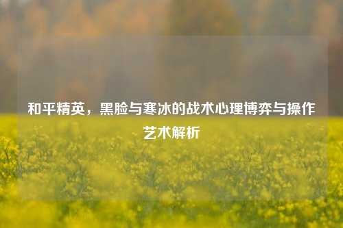 和平精英，黑脸与寒冰的战术心理博弈与操作艺术解析